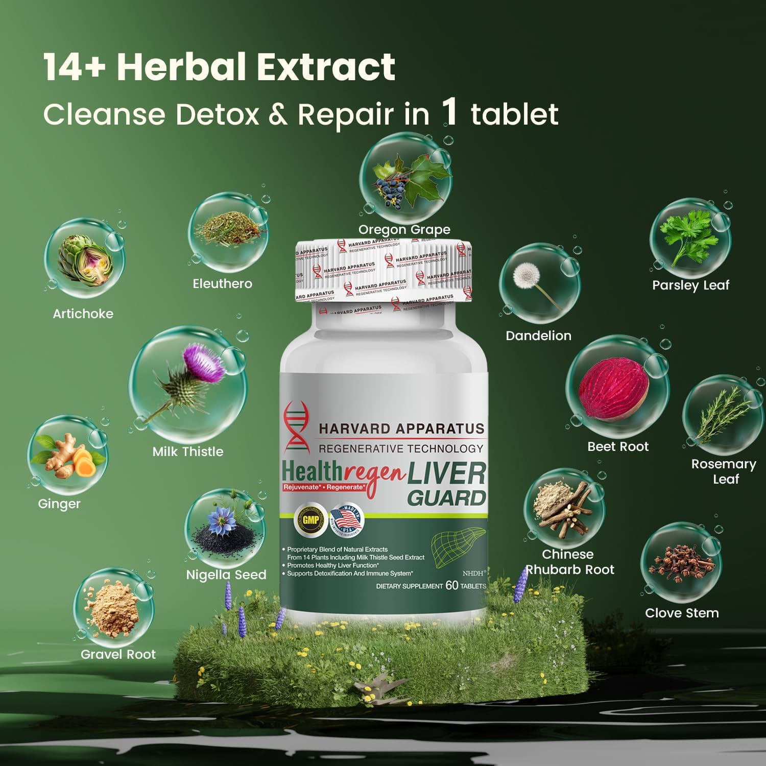 Harvard Apparatus Advanced Liver Cleanse Detox & Repair - Herbal Liver Support with 14-in-1 Herbs-Silymarin Milk Thisitle with Dandelion, Artichoke, Ginger, Boost Energy & Digestive, 120 Tablets