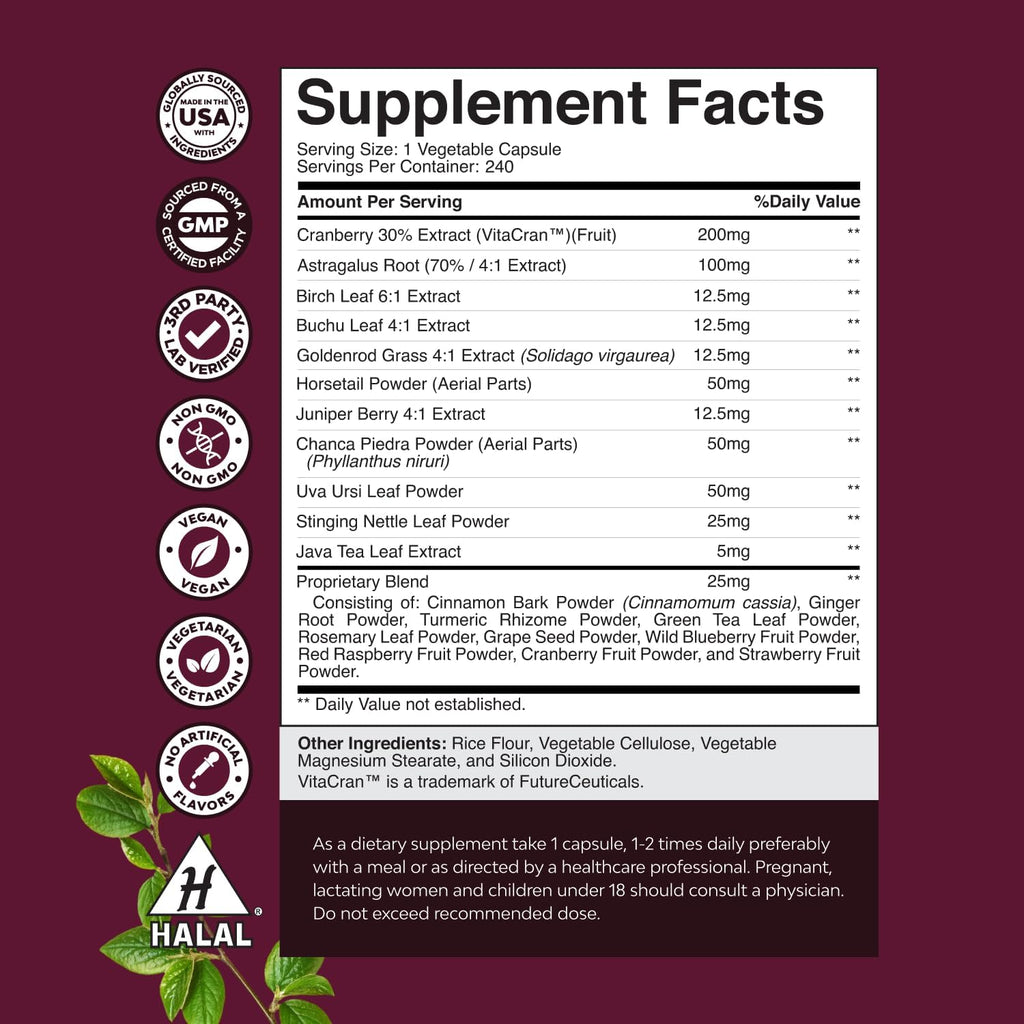 Advanced Kidney Support Supplement - Kidney Cleanse Detox & Repair Cranberry Extract Capsules with Uva Ursi, Stinging Nettle & Astragalus for Kidney Health - Urinary Tract Health - 240 Caps