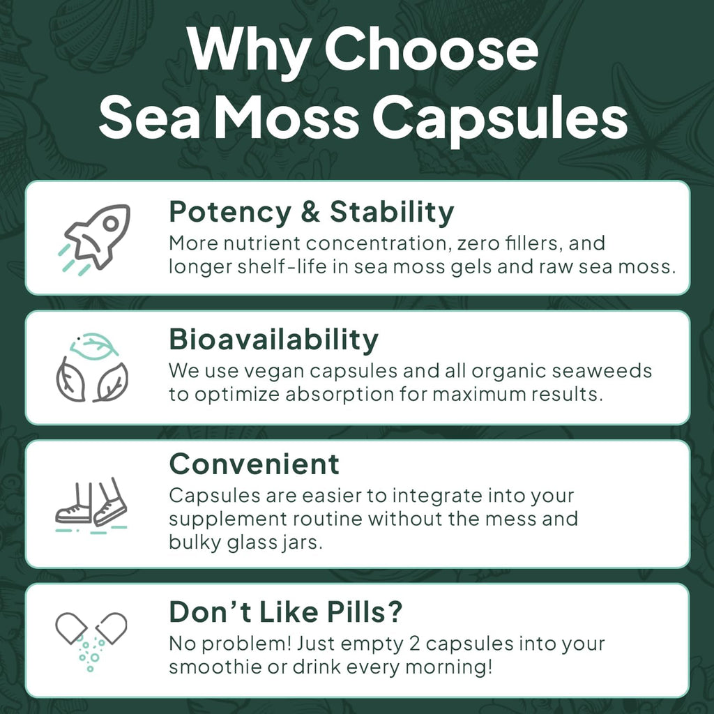 Wild Sea Moss Capsules - 100% Organic Irish Sea Moss with Organic Chlorella, Bladderwrack and Vitamin D for Energy, Lung Health and Thyroid Support for Women and Men - 6 Bottles