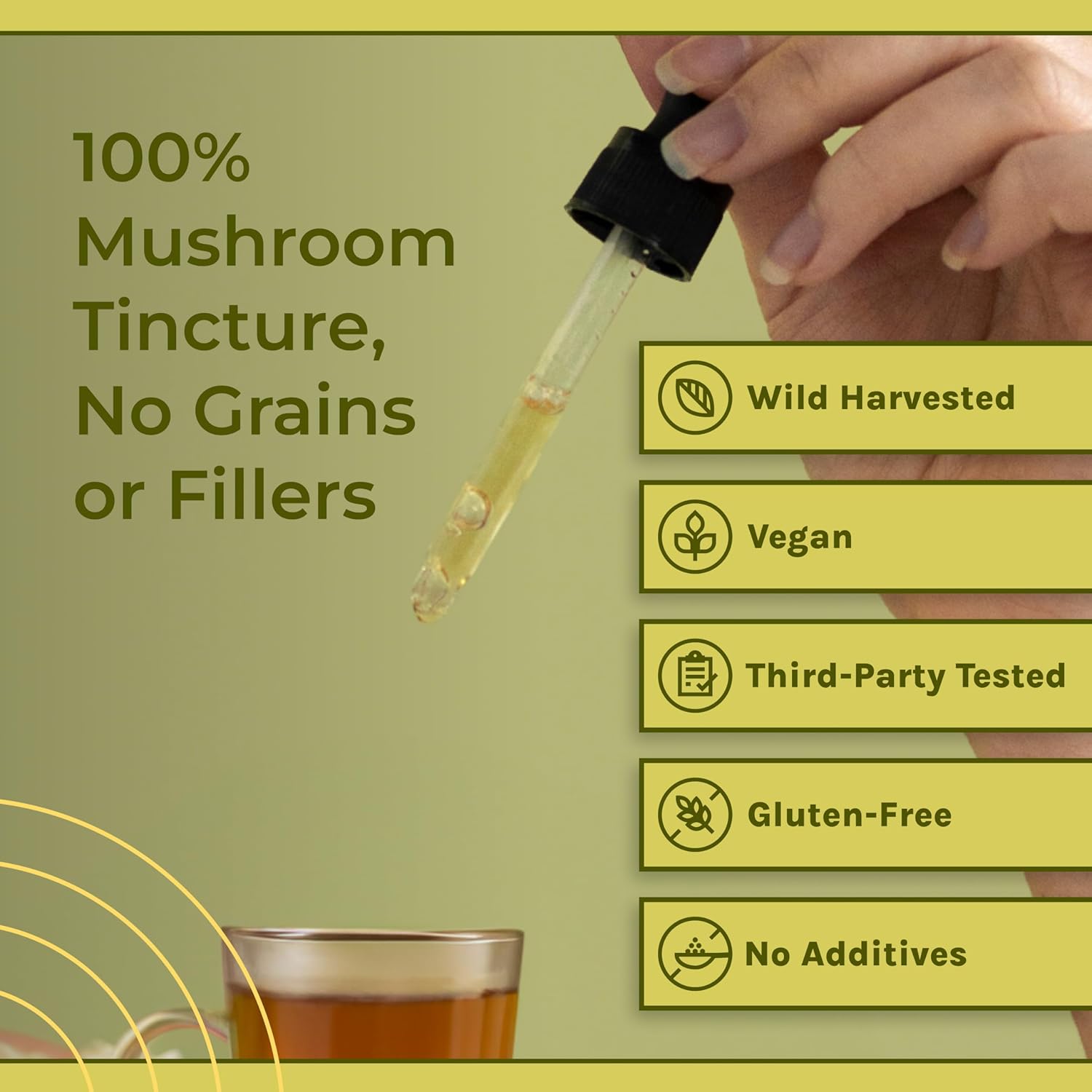 Naturealm Chaga Mushroom Liquid Tincture Supplement – Immune Support, Antioxidant Boost & Hair, Skin, Nail Health, Vegan, Non-GMO – Wild-Harvested Fruiting Bodies, 2 Month Supply