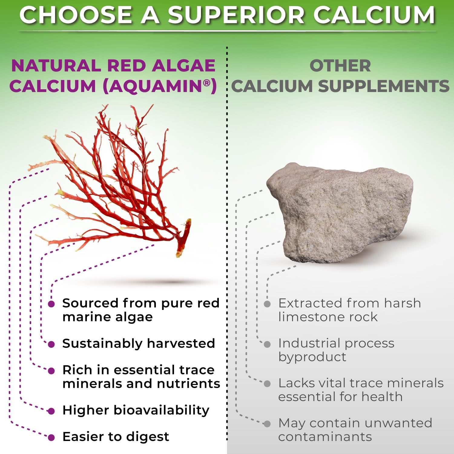 Plant-Based Calcium 600mg (Aquamin) – Vegan Calcium Magnesium Zinc D3 with Vitamin K2 & Organic Turmeric – Enhanced Bone and Muscle Health & Strength, Immune Support for Women & Men - 90 Count