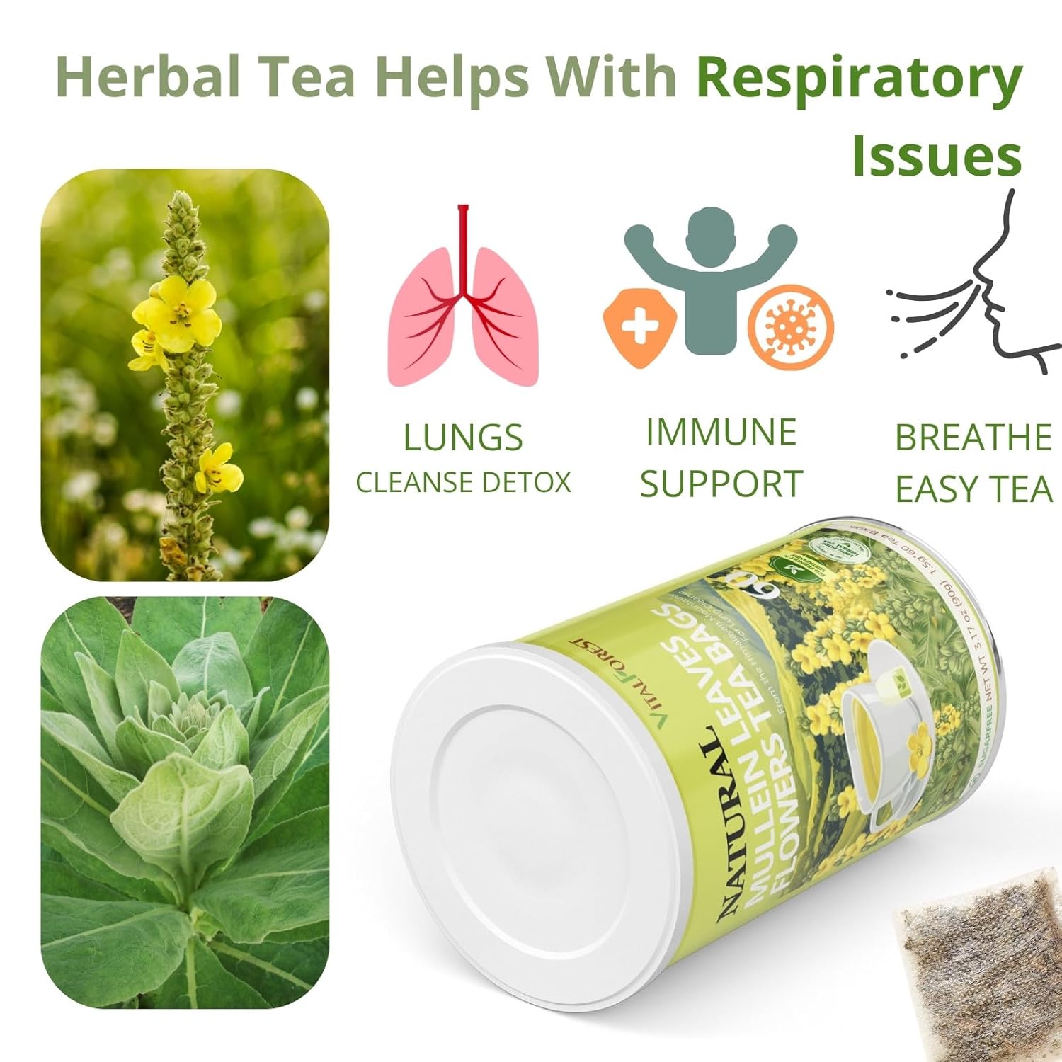 Mullein Tea Bags for Lungs – 60 Count, Mullein Leaf Mullen Tea, VitalForest Herbal Mullins Mullien Tea for Lung Detox Cleanse, Smokers Support, Respiratory Wellness & Detox, Caffeine-Free