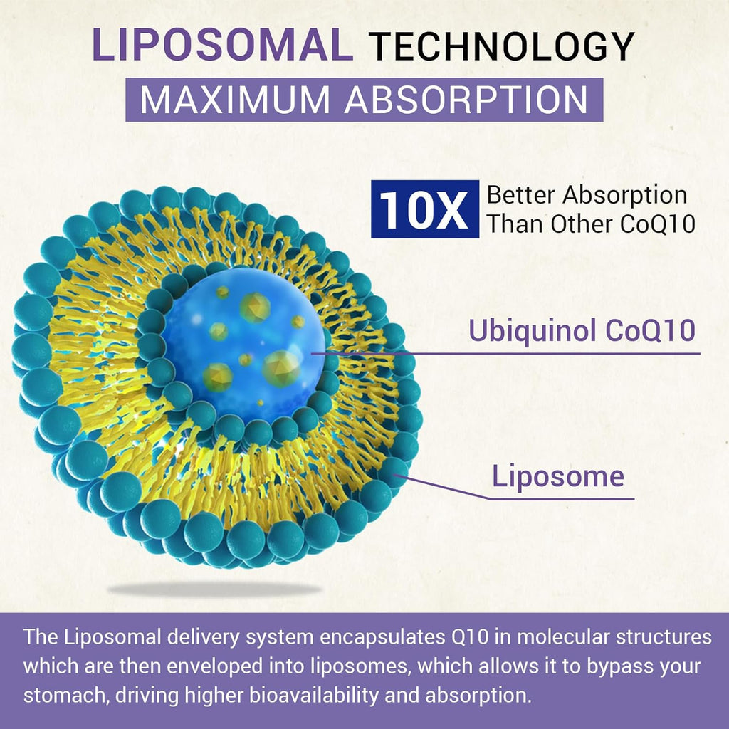 Liposomal Ubiquinol CoQ10 800 MG Softgel, High Absorption CoQ10 Ubiquinol Supplement, Active Coenzyme Q10 800mg, Powerful Antioxidant for Heart & Brain Function, Energy Production, 240 Vegan Softgels
