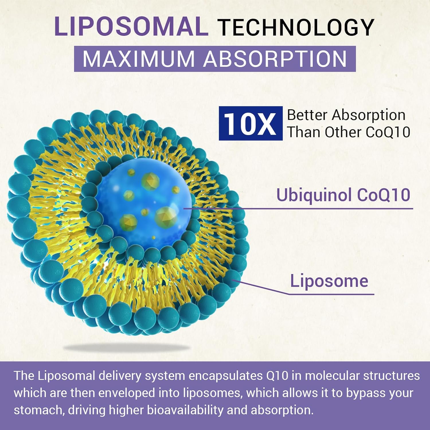 Liposomal Ubiquinol CoQ10 800 MG Softgel, High Absorption CoQ10 Ubiquinol Supplement, Active Coenzyme Q10 800mg, Powerful Antioxidant for Heart & Brain Function, Energy Production, 480 Vegan Softgels