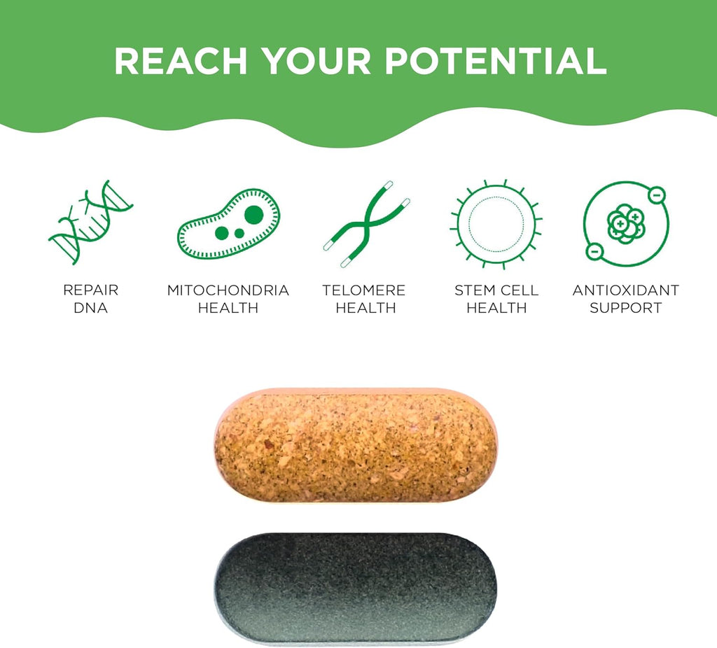 HealhtyCell AM/PM Healthspan System - 90+ Vitamins, Minerals, Protective Phytonutrients, Probiotics & Enzymes for Advanced Cellular Nutrition - 60 AM Tablets & 60 PM Tablets