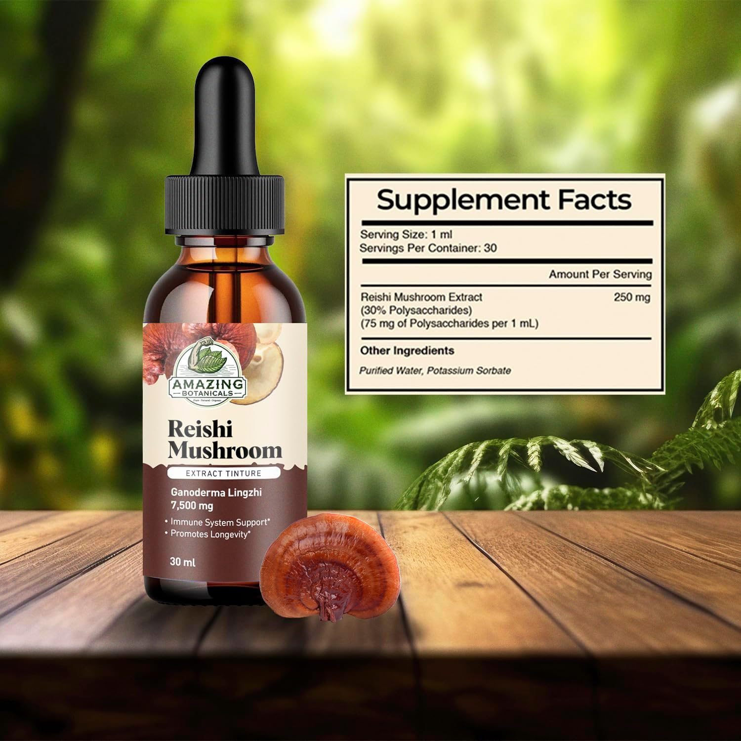 Reishi Mushroom Extract Tincture – 250mg per Serving – Dual Extract Liquid Supplement for Immune Function, Daily Wellness & Vitality – Vegan, Non-GMO, USA Made, Sugar & Alcohol-Free Drops – 1oz/30mL