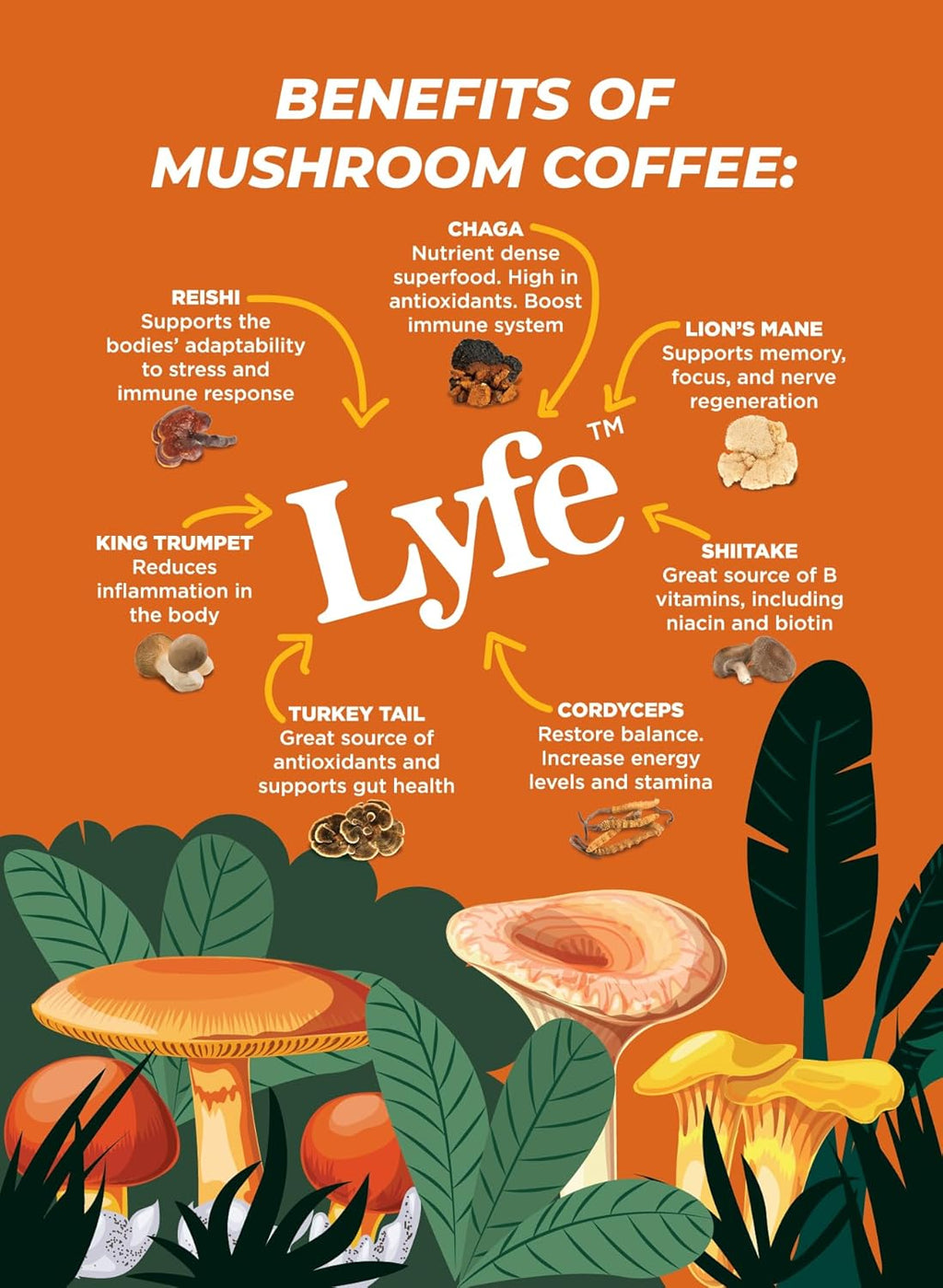 LYFE Organic Instant Decaf Mushroom Coffee – Lion’s Mane, Chaga, Cordyceps, Turkey Tail | USA Grown Adaptogenic Mushrooms for Better Energy, Focus, Gut Health, Immunity – 40 Servings