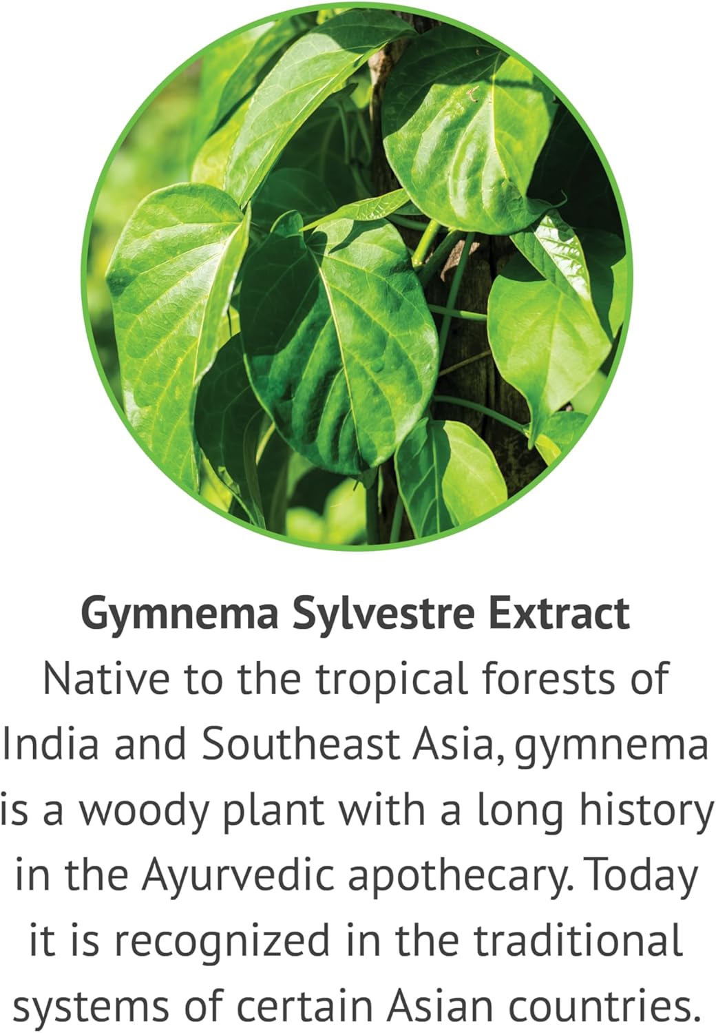 Gymnema Sylvestre-Liquid Extract, Alcohol Free, Gluten Free, Non-GMO, Dropper, Bottle- 1 oz