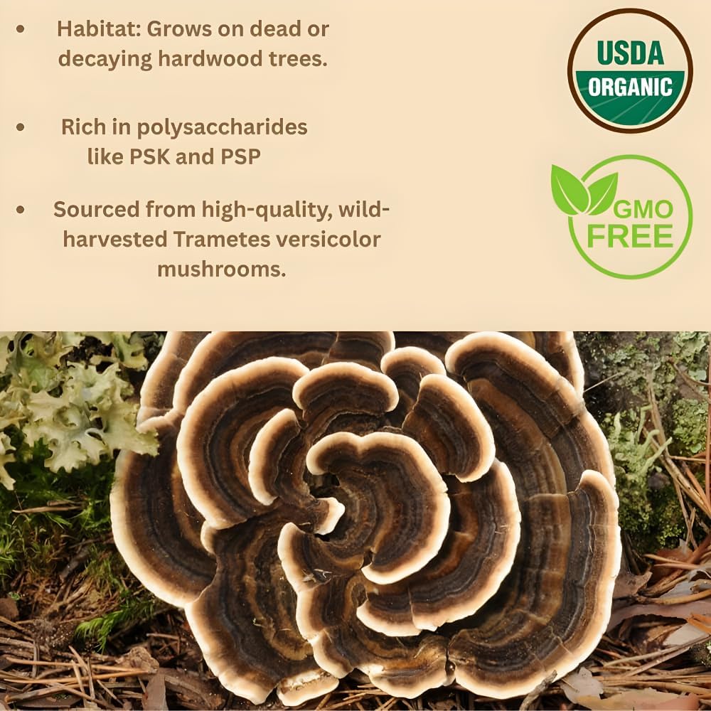 Organic Non-GMO Freeze Dried Turkey Tail Mushroom Powder (50:1 Extract), 16 Ounces | Freeze Dried Longer Shelf Life, Supports Immune Response & Cellular Level (16 OZ)