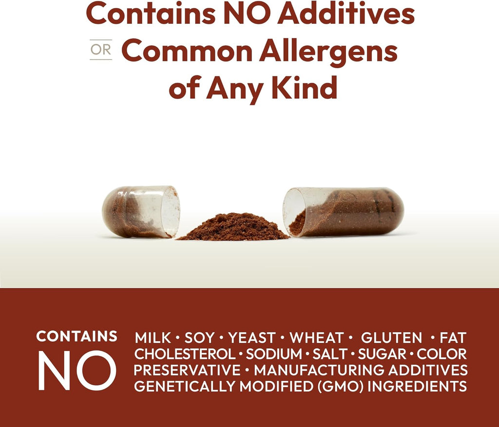 ANDREW LESSMAN Cinnamon 400mg - 240 Capsules - High Potency, Standardized Extract. No Additives. Small Easy to Swallow Capsules