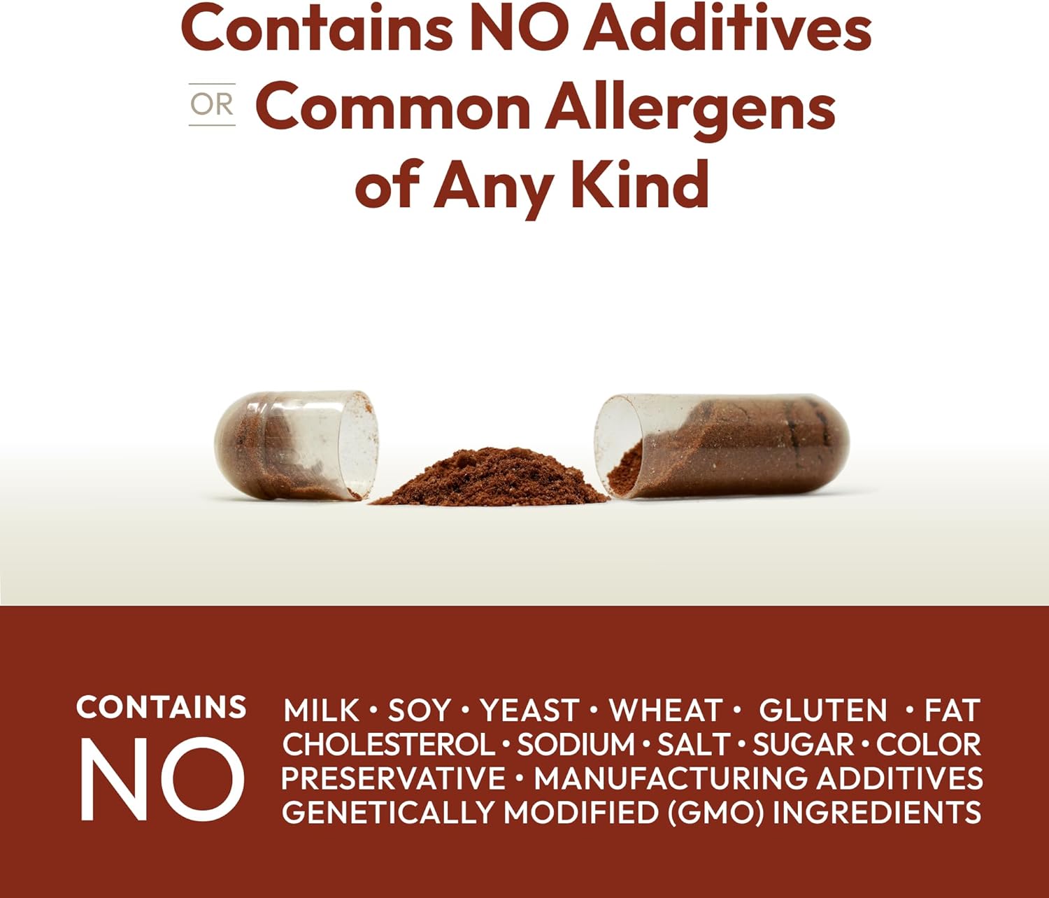ANDREW LESSMAN Cinnamon 400mg - 360 Capsules - High Potency, Standardized Extract. No Additives. Small Easy to Swallow Capsules