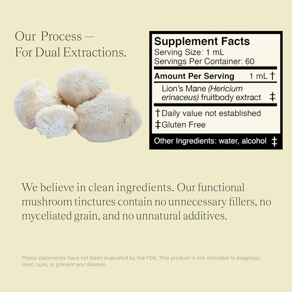 Lions Mane Extract - Double Extracted Fruitbody Mushroom Tincture, Natural Support for Mental Clarity, Brain Function, Memory, Cell Regeneration, Creativity & Mood (60 Servings)