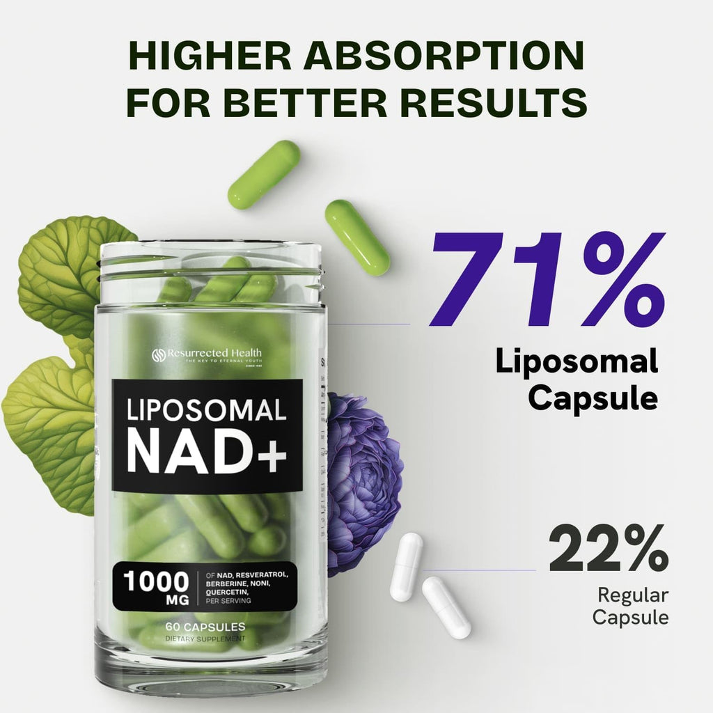 Liposomal NAD Supplements for Women Resveratrol NAD + Supplement w/Berberine, Quercetin, Noni | Boosts NAD Anti-Aging, Bravfin Support, Gut Heath - 60 Capsules