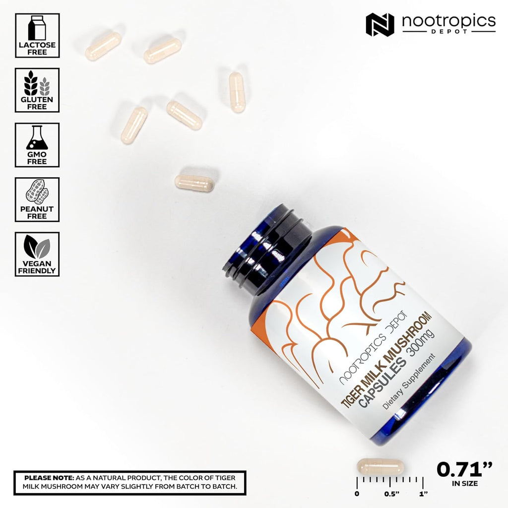 Nootropics Depot Tiger Milk Mushroom Capsules | 300mg | 60 Count | Lignosus rhinocerus Sclerotium | Cognition, Histamine, & Respiratory Support