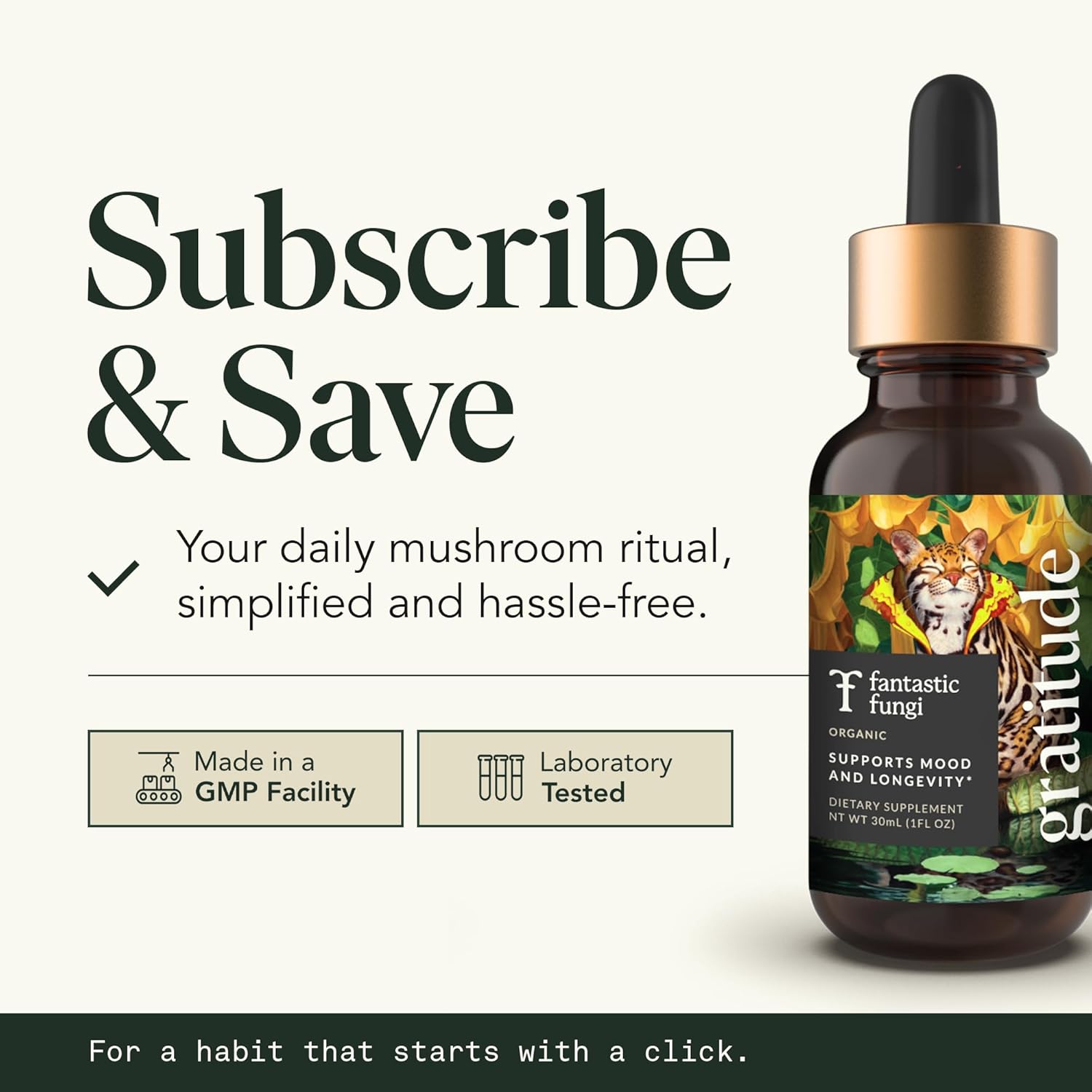 Fantastic Fungi Mushroom Extract - 8-in-1 Organic Complex Mushroom Supplement with Cordyceps, Reishi, Lion’s Mane, Chaga, Turkey Tail, Shiitake, Maitake & Tremella - Adaptogen Liquid Tincture, 1 fl oz