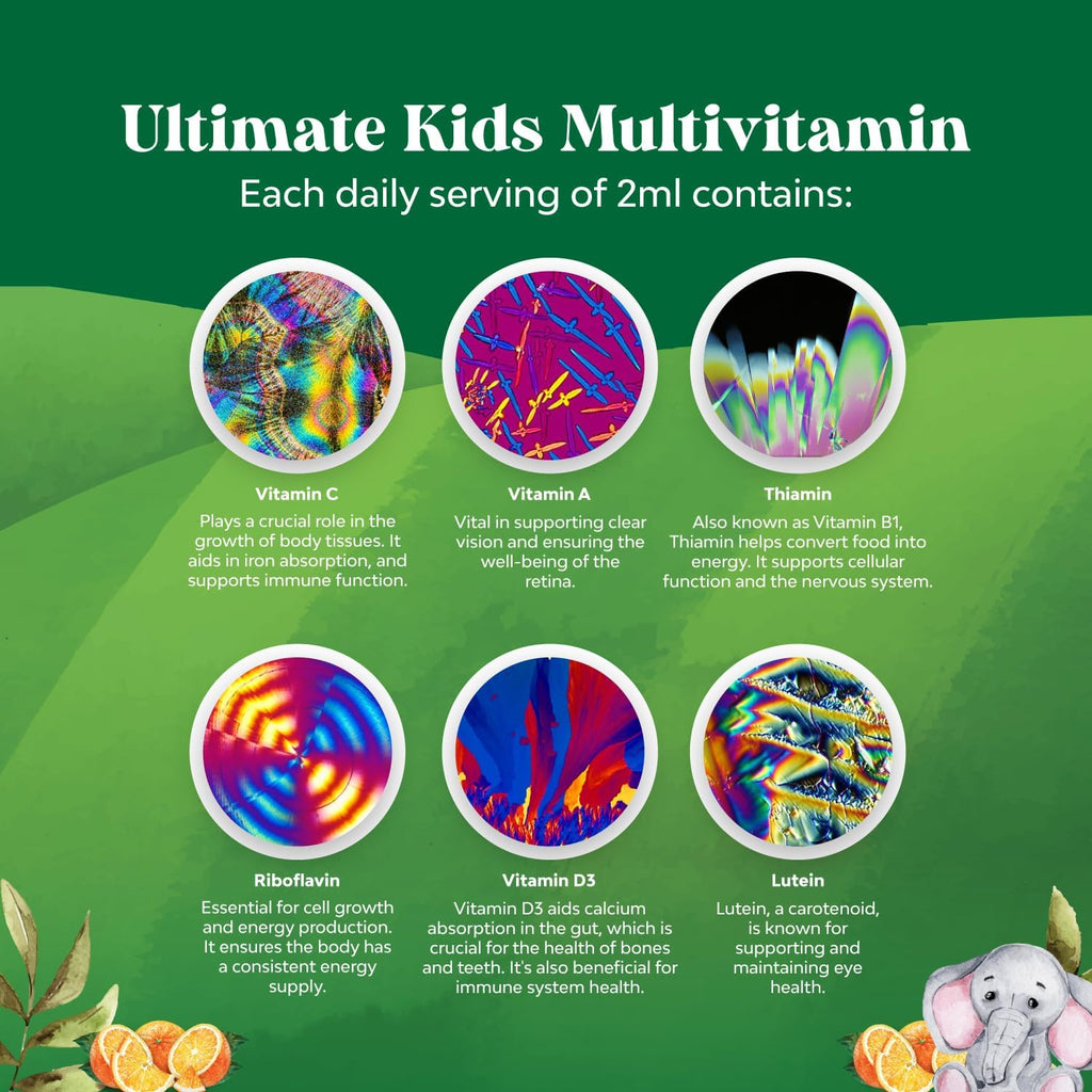 Natures Craft Liquid Multivitamin for Kids Immunity Support - Yummy Toddler Multivitamin Supplement with a C D3 E B6 and D3 Liquid Vitamins for Kids of All Ages - High Absorption (2 Pack)