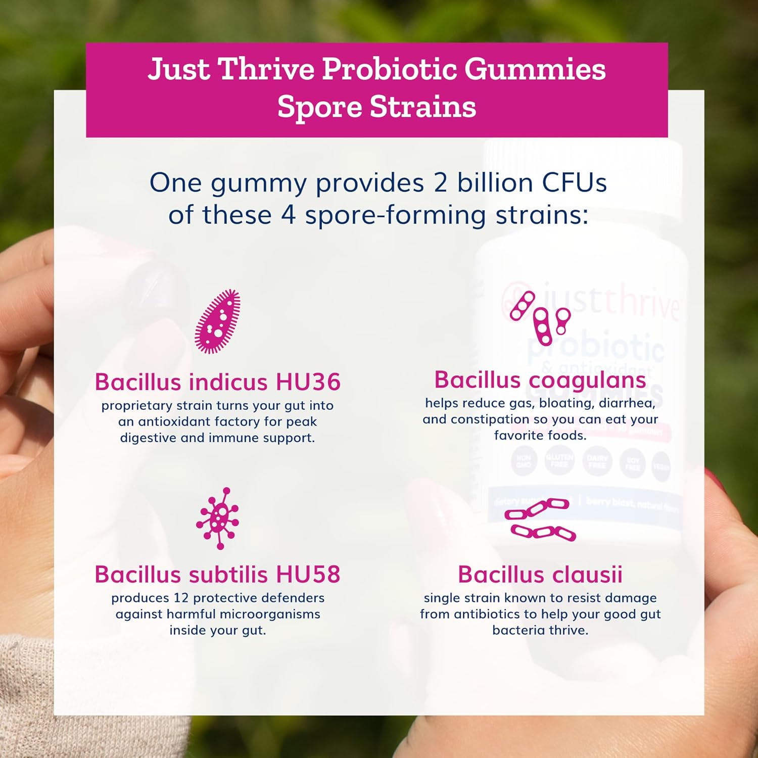 Just Thrive Probiotic Gummies - Kids, Men, and Womens Probiotic - for Digestive and Overall Health, 30 Count