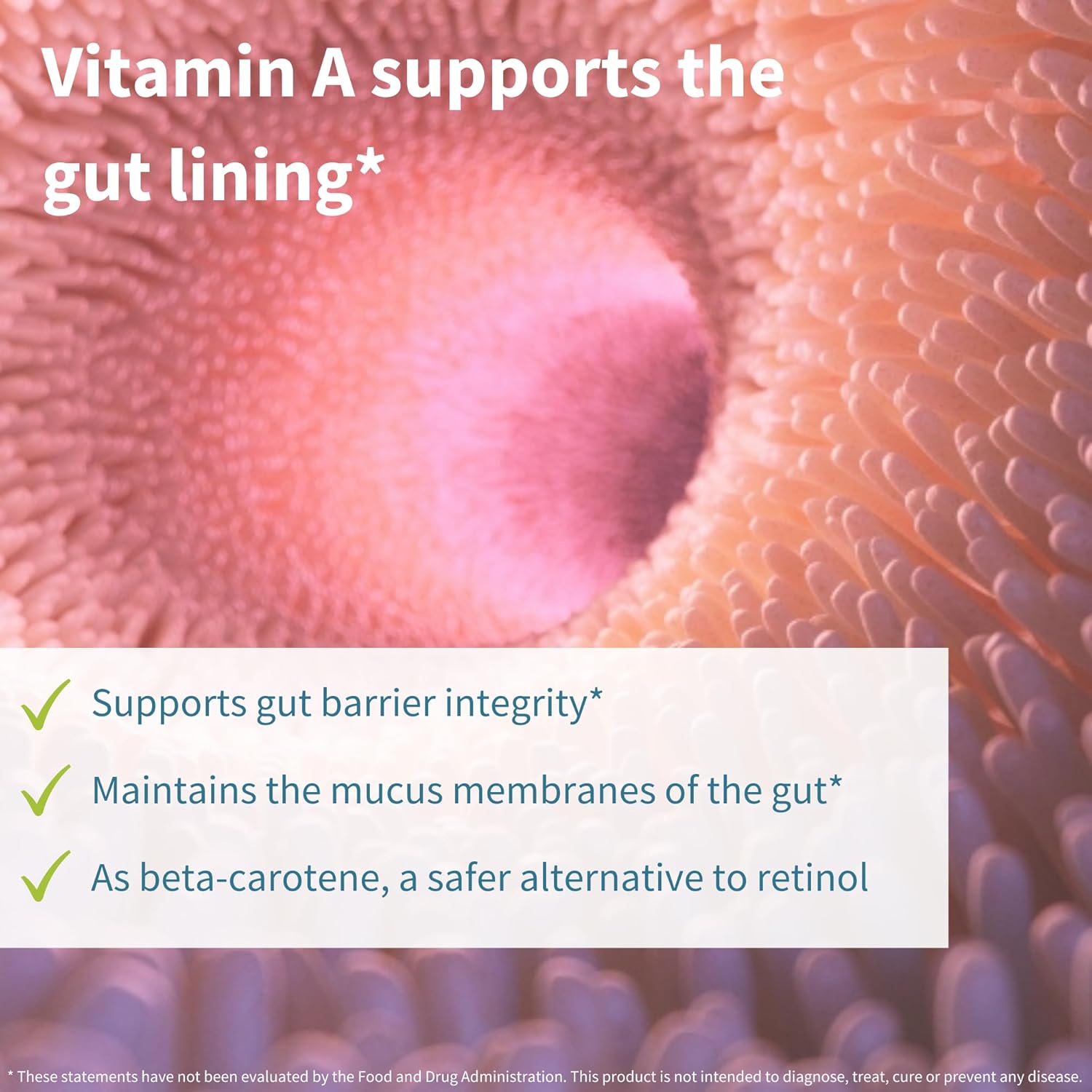 Igennus Probiotics & Prebiotic, Lactobacillus Acidophilus & Bifidobacterium, Live Cultures+ Lab4, Guaranteed 25 Billion CFU, for Women & Men, Non-Bloating Gut Health Support, Non-GMO, 30 Capsules