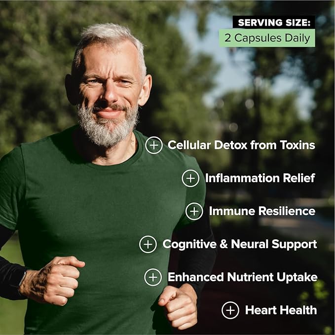 Complement Sulfora – Sulforaphane Supplement with Myrosinase, 52mg Glucoraphanin- Broccoli Seeds, Kale, Camu Camu, Mustard Seed, Quercetin, Brussels Sprouts– Natural Detox, Immune Support– 30 Servings