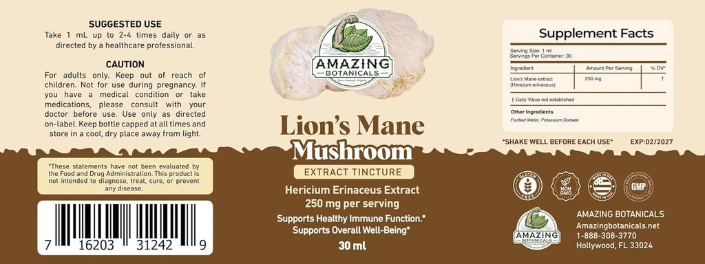 Lion’s Mane Mushroom Extract Tincture – 250mg – Dual Extracted Nootropic Supplement – Liquid Hericium Erinaceus for Focus, Memory & Brain Support, Vegan, Non-GMO, Sugar & Alcohol-Free Drops – 1oz