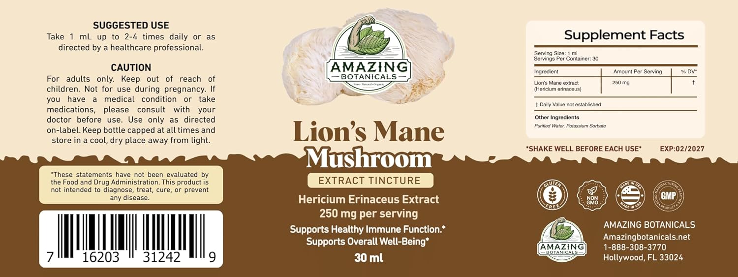 Lion’s Mane Mushroom Extract Tincture – 250mg – Dual Extracted Nootropic Supplement – Liquid Hericium Erinaceus for Focus, Memory & Brain Support, Vegan, Non-GMO, Sugar & Alcohol-Free Drops – 1oz