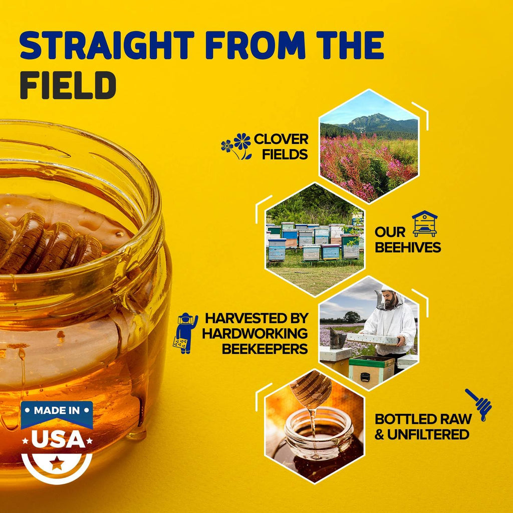 Fischer's 100% Pure Clover Honey, 40 oz – Unfiltered Raw Honey in a Squeeze Bottle – All-Natural Sweetener – Rich Flavor Profile, Packed with Nutrients