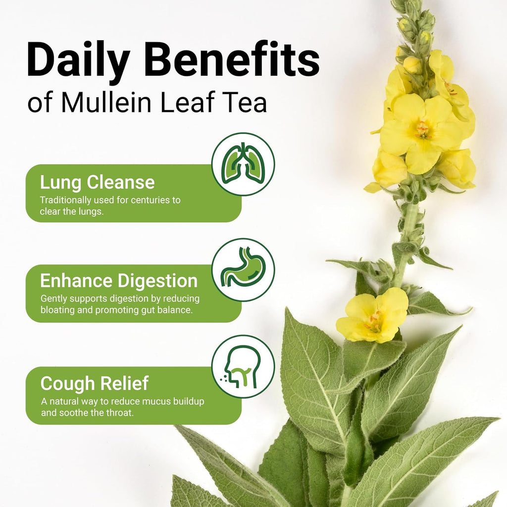 Premium 40 Mullein Tea Bags For Lungs - 100% Pure Mullein Leaf | For Lung Health & Respiratory Wellness Support | Caffeine Free - No Additives & Non-GMO | Plastic-Free, Plant-Based Tea Bags