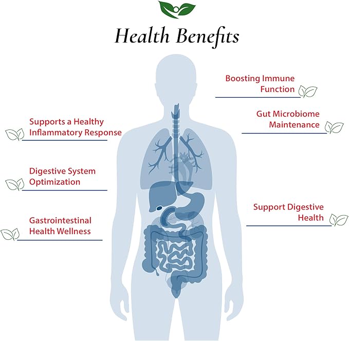 Bifidobacterium Longum Probiotic Powder 100 Billion cfu's | Made in USA | No Additives | Direct from Manufacturer | No Third-Party Storage | Immune Support | B. Longum | 60 Grams (2.11 Oz)