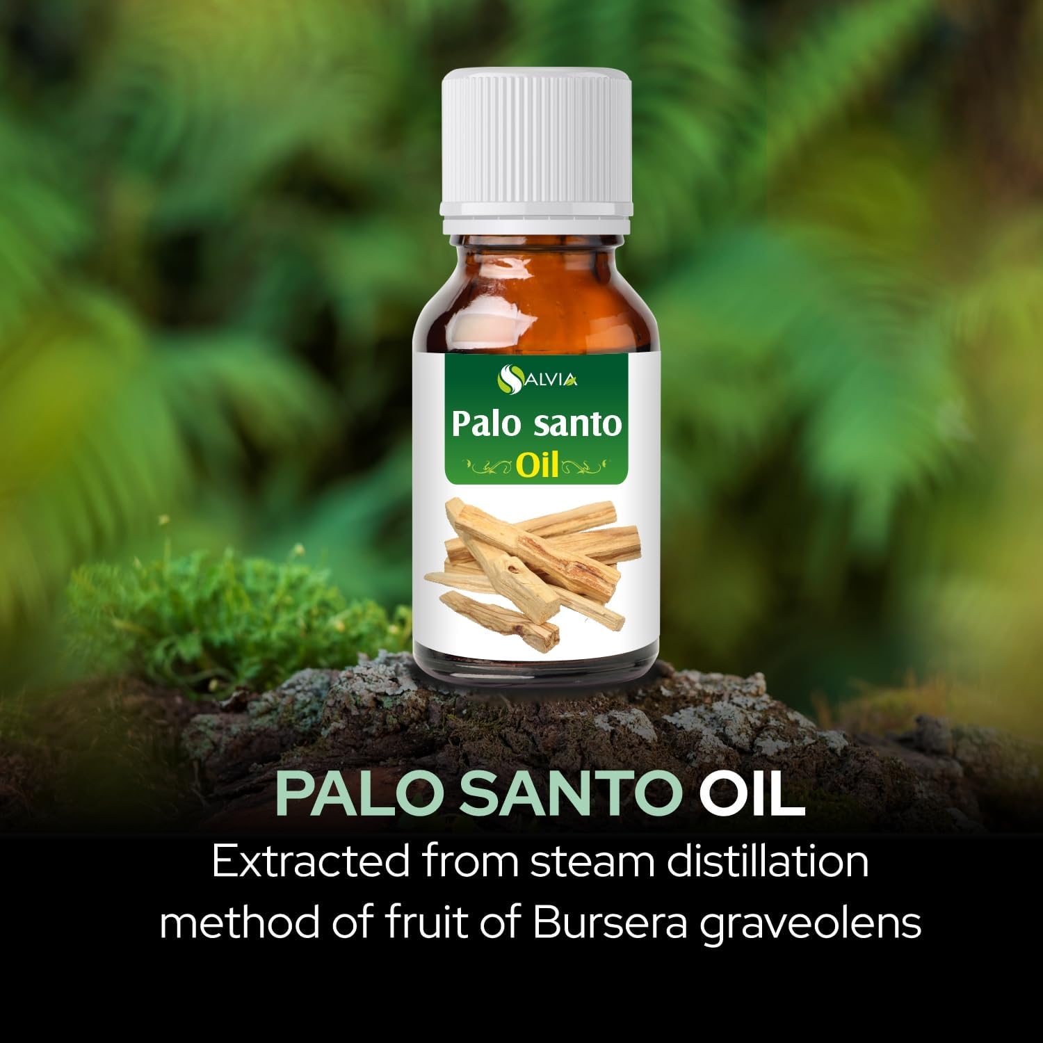 Salvia Palo Santo Essential Oil (Bursera graveolens) 100 Percent Pure & Natural - Undiluted Uncut Therapeutic Grade - Aromatherapy Oil (15ml)