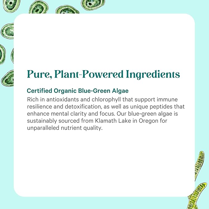 PURE SYNERGY Blue-Green Algae Capsules | Superfood with Chlorophyll | Organic Superfood Supplement from AFA Blue Green Algae | Supports Energy, Mental Clarity, and Detoxification (90 Capsules)