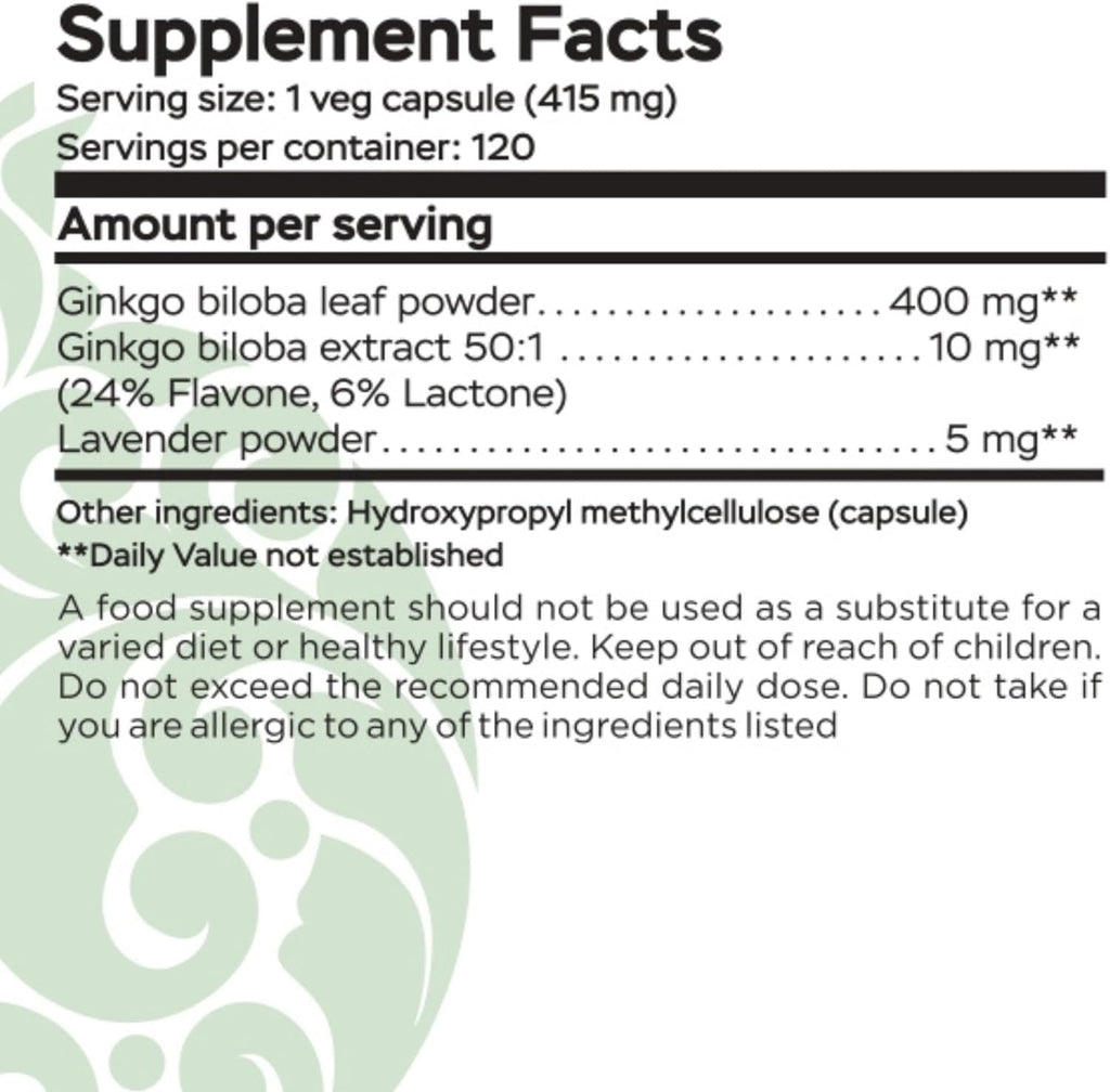 Ginkgo Biloba, Memory, Focus & Brain Function Support, Antioxidant-Rich, Plant-Based, GMP, Herbal Nootropic Vegetarian Capsules, 120 Count (Pack of 1)