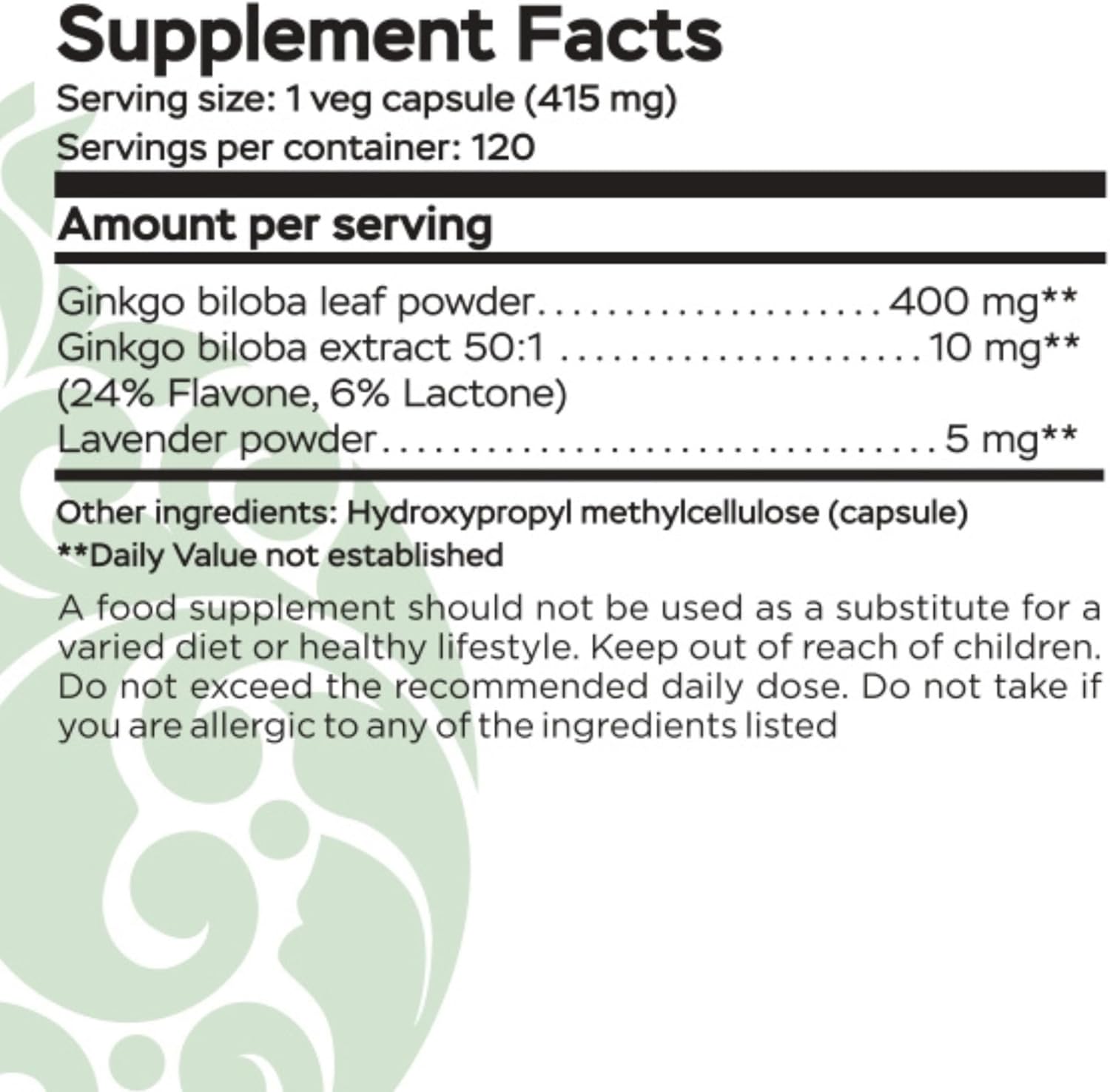 Ginkgo Biloba, Memory, Focus & Brain Function Support, Antioxidant-Rich, Plant-Based, GMP, Herbal Nootropic Vegetarian Capsules, 120 Count (Pack of 1)