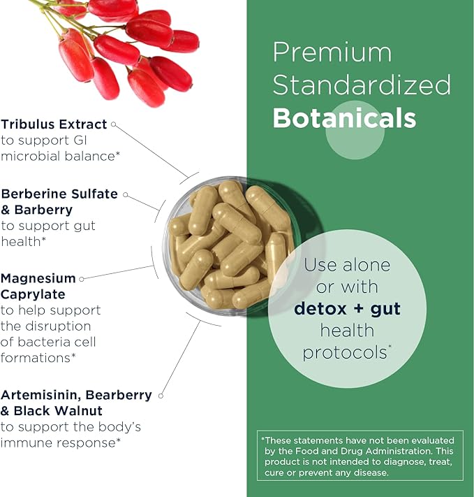 Designs for Health GI Microb-X - Botanical Gut Support, Cleanse + Detox Supplement with Tribulus, Berberine + Barberry Extract - Vegetarian + Non-GMO (120 Capsules)