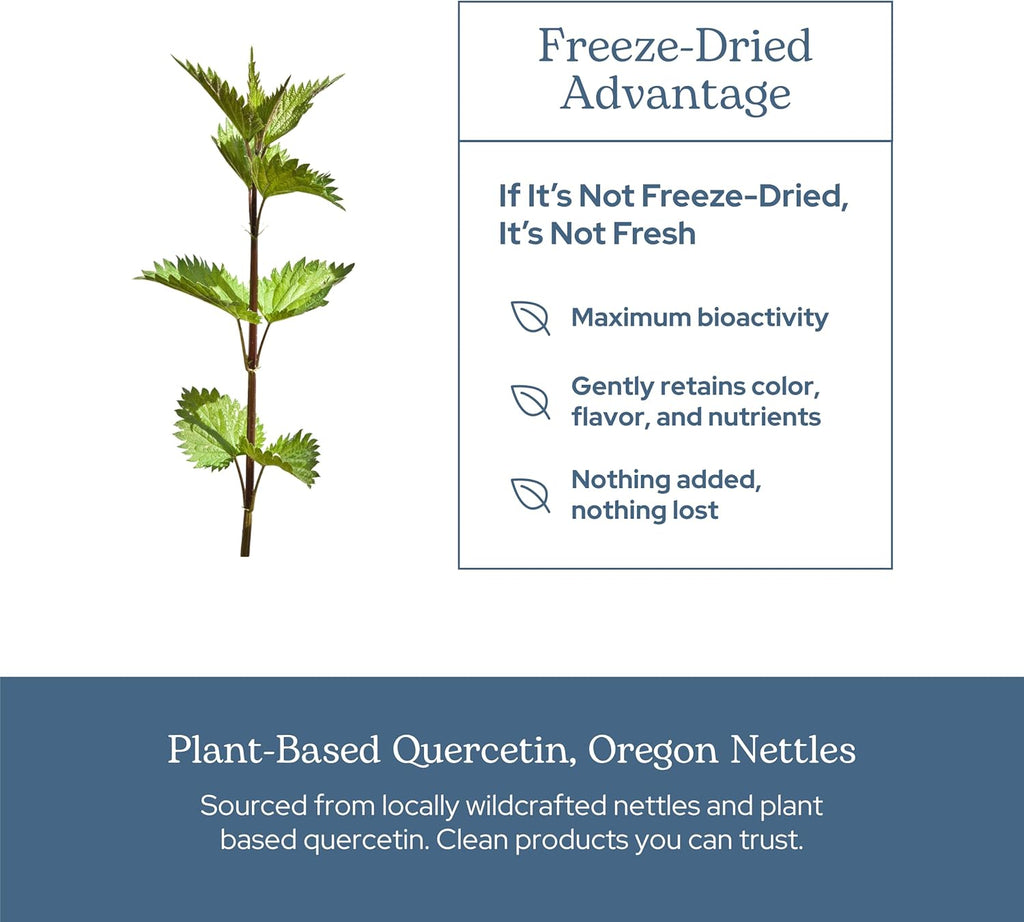 Eclectic Herb - Nettle Quercetin Capsules | Non-GMO, Vegan | 90 CT