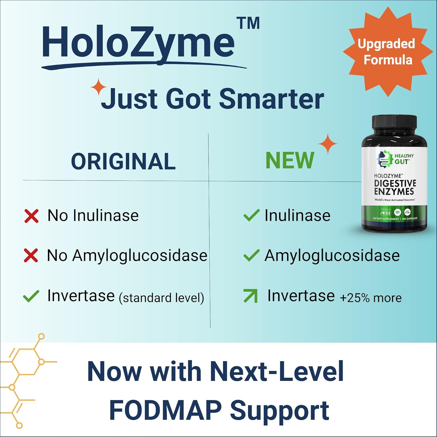 HoloZyme Max Strength Digestive Enzymes | Inulinase, Amyloglucosidase & Invertase for FODMAP Support | Protease, Amylase & Lactase for Bloating, Gas & Indigestion Relief | 90 Servings