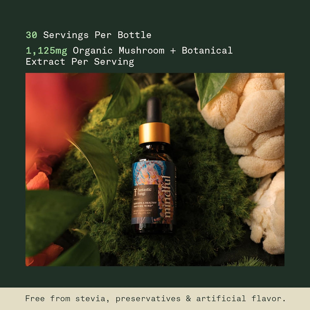 Fantastic Fungi Organic Mushroom Tincture - Mindful Elixir with Lions Mane Mushroom Extract, Bacopa & Ginkgo Leaf - Drops for Focus, Clarity & Memory Support - Formulated in USA, 30 Servings, 1 fl oz