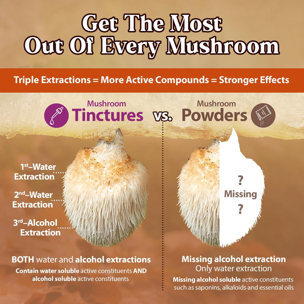 Dragon Herbs Lion's Mane Drops • Mushroom Supplement • Supports The Brain & Nervous System • Adaptogen for Mood Health • Triple Extraction, Fast Acting, Super Potency • Vegan, 2 fl oz 60ml • Tincture