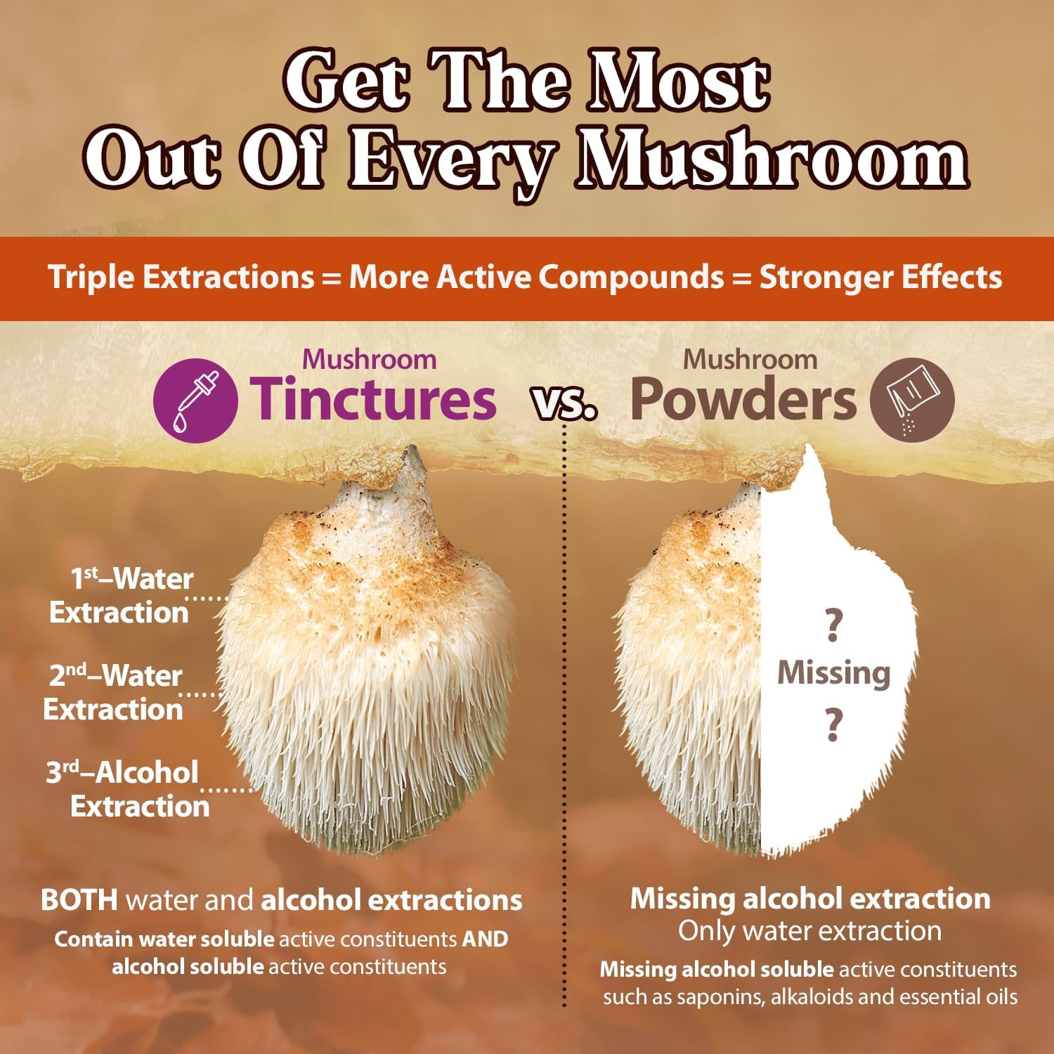 Dragon Herbs Lion's Mane Drops • Mushroom Supplement • Supports The Brain & Nervous System • Adaptogen for Mood Health • Triple Extraction, Fast Acting, Super Potency • Vegan, 2 fl oz 60ml • Tincture