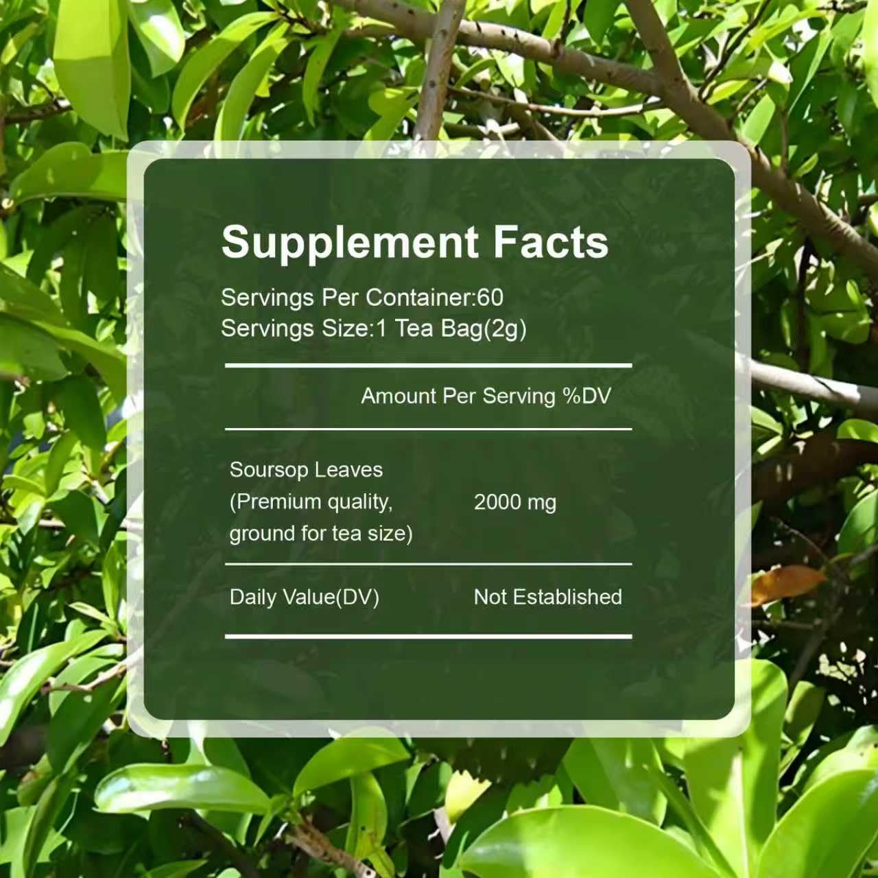 Soursop Leaves Tea 2g x 60 Teabags | 100% Natural Graviola Tea Immune, Antioxidant Boost & Relaxation | Caffeine-Free Herbal Tea