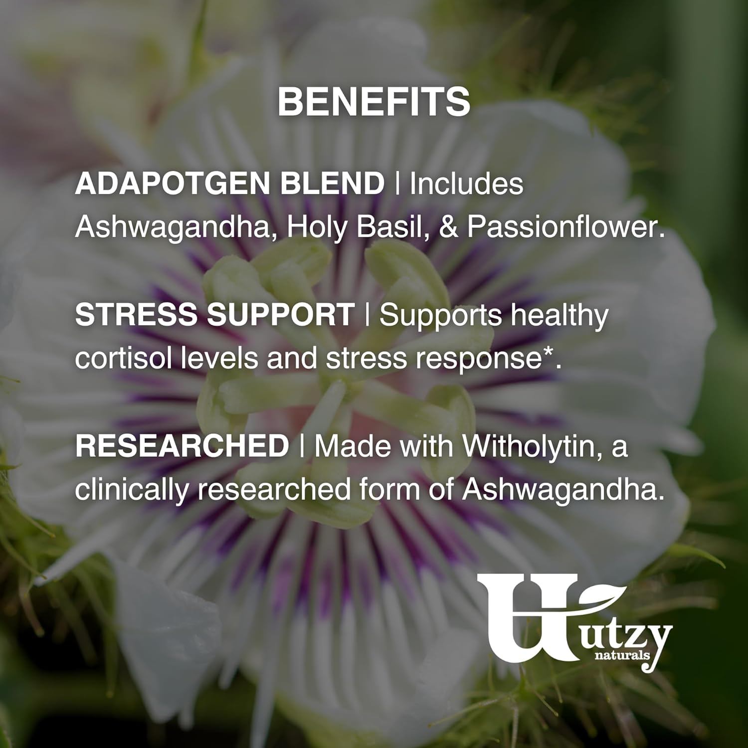 Utzy Naturals Adapto-Calm | Stress Support Formula | with Ashwagandha, Tulsi Holy Basil, and Passionflower | 60 Capsules