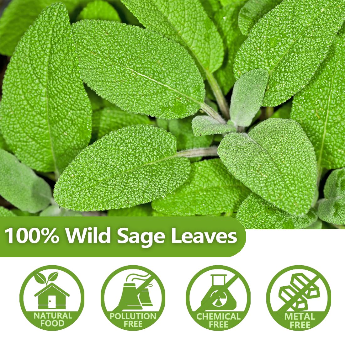 Premium 50 Sage Tea Bags, Made with 100% Natural Sage Leaves, No Additives & Caffeine Free.