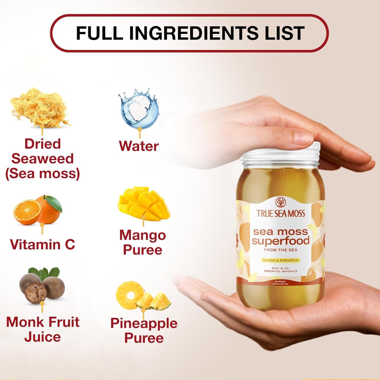 TrueSeaMoss Sea Moss Gel – Made in USA – Wildcrafted Seamoss, Fresh Fruits & Sea Vegetables – Mango/Pineapple, Pack of 1 (Labels may Vary)