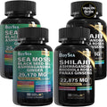 Boysea.Shilajit and Sea Moss Bundle - 90 Count - Sea Moss 7000mg, Black Seed Oil 4000mg, Ashwagandha 2000mg, Ginger & Shilajit 9000mg, Rhodiola Rosea 1000mg, All in 1 Supplements (2 Pcs)