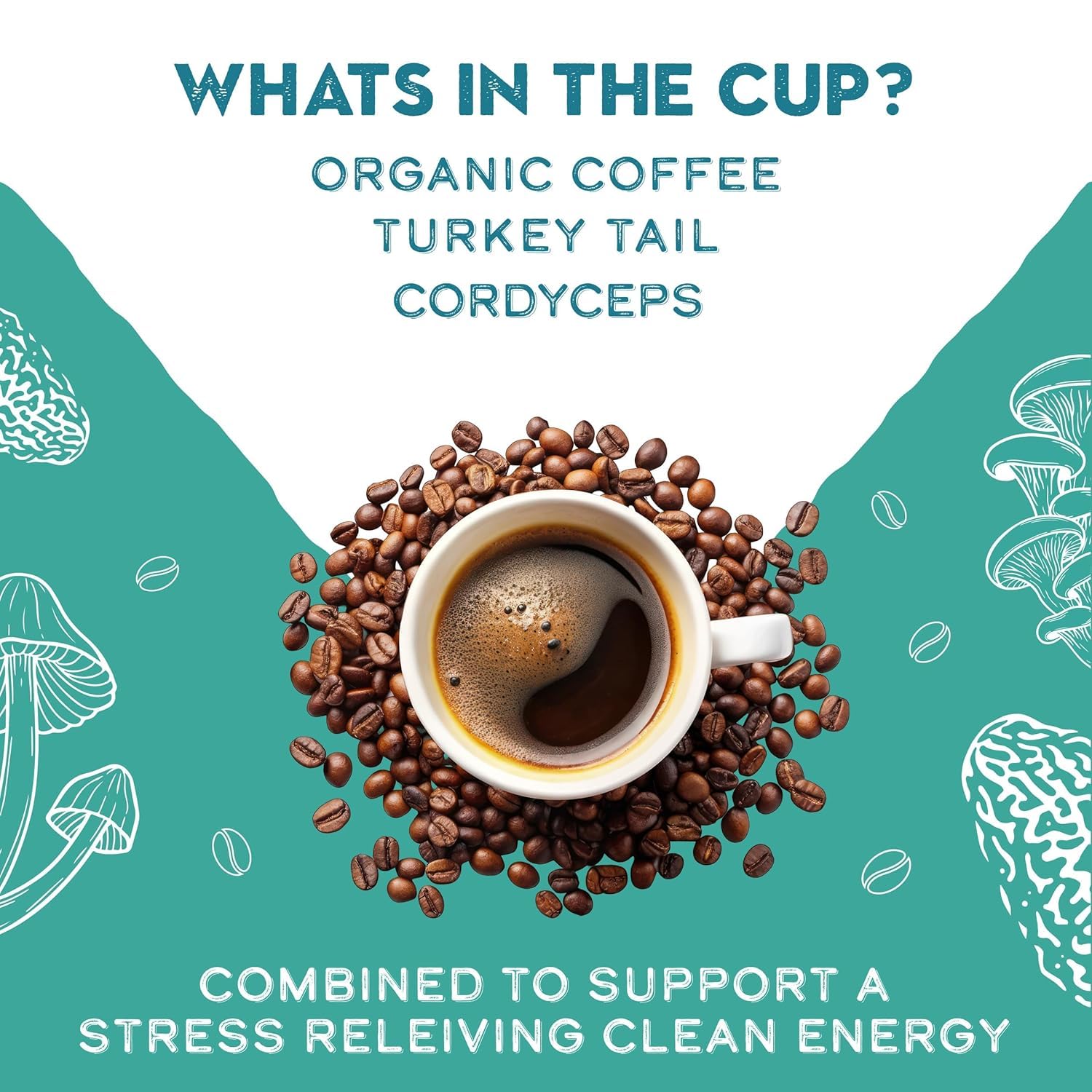 Organic Turkey Tail & Cordyceps Mushroom Coffee Dark Roast, Antioxidants, Immune System Support, overall wellness, Grade 1 Single Origin Peruvian | 12oz - Ground (2 Pack)