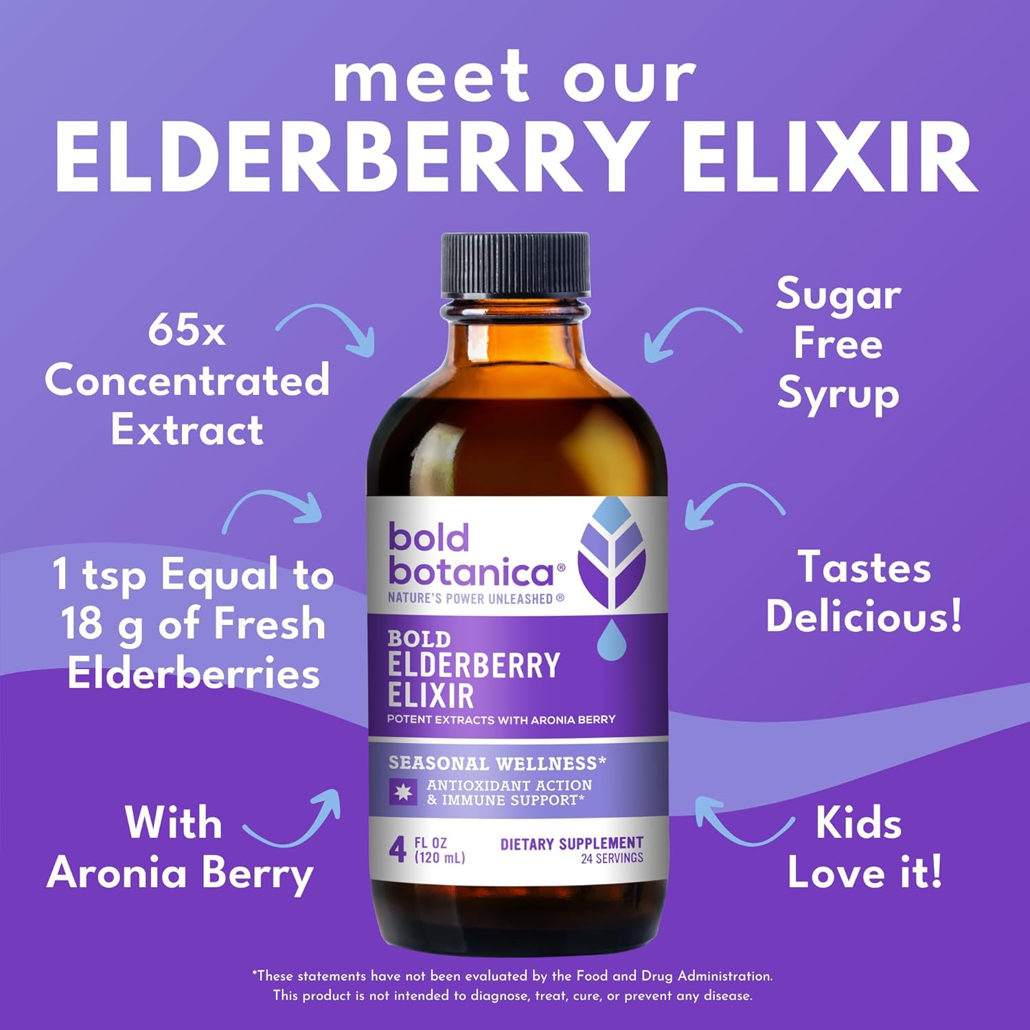Bold Botanica Elderberry Elixir – 65x Concentrated Extract - Sugar-Free - Kid Friendly - Black Elderberry Syrup with Aronia Berry for Immune Support - 4 Fl. Oz.
