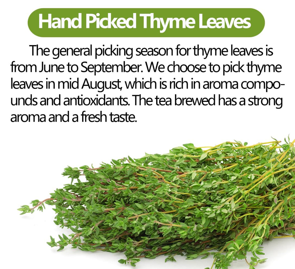 Premium 100 Thyme Leaf Tea Bags, Made with 100% Pure Thyme Leaves, Aid Digestion & Support Respiratory, No Additives & Caffeine Free。