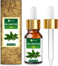 Salvia Bay Laurel Leaf Oil (Laurus Nobilis) 100% Pure & Natural Undiluted Essential Oil, 30ml/1.01fl oz