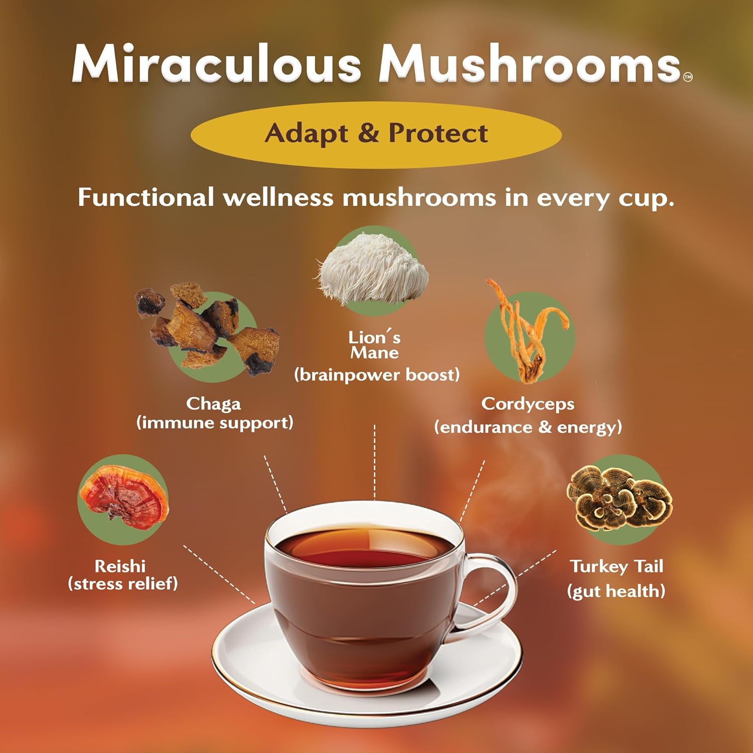 Teeccino Miraculous Mushrooms Adapt & Protect Coffee Alternative, 10 Oz – 5 Organic Adaptogenic Mushrooms with Chicory & Cacao, Caffeine Free, Prebiotic, Acid Free, All-Purpose Grind