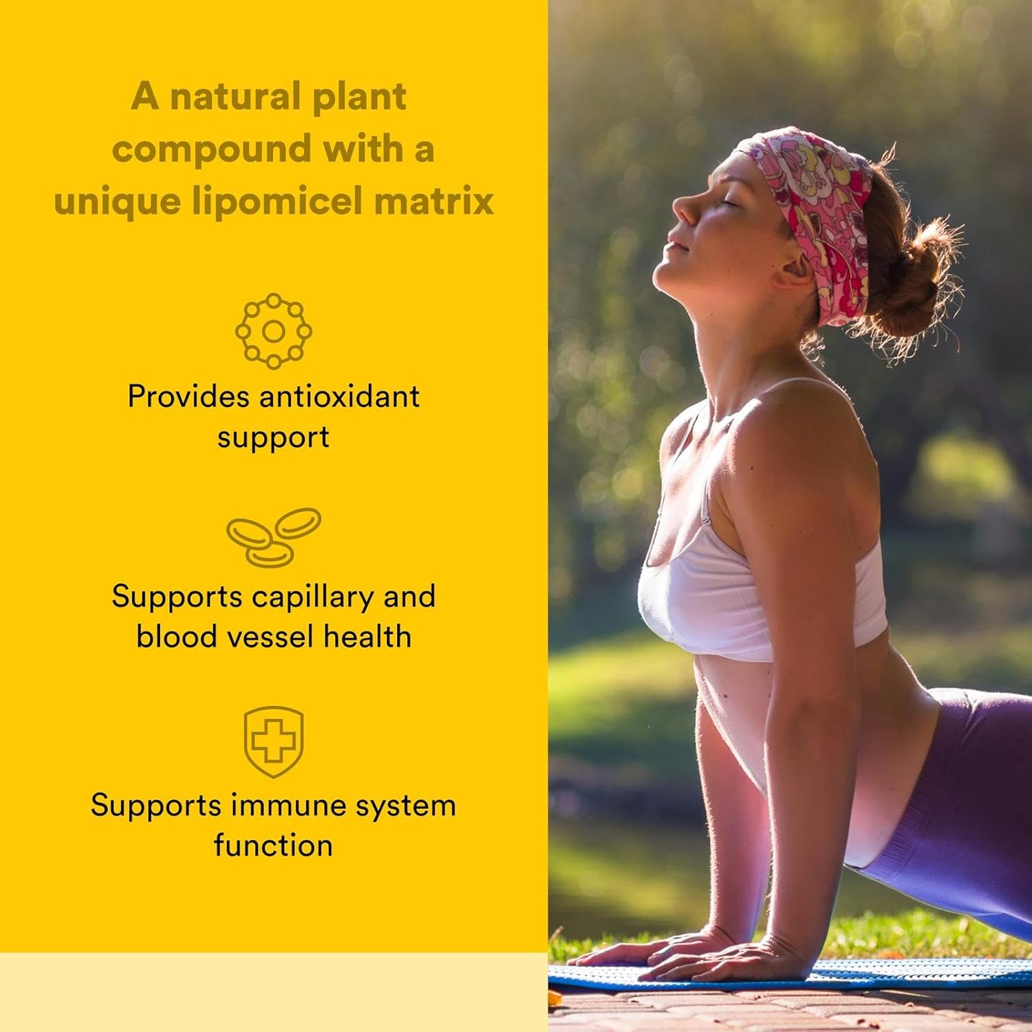 Natural Factors Quercetin LipoMicel Matrix for Superior Absorption, 120 Softgels