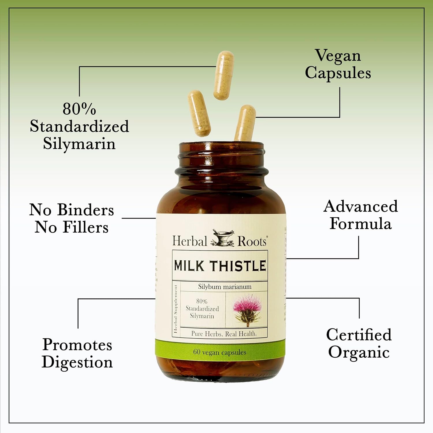 Herbal Roots Milk Thistle Capsules | Extra Strength 80% Silymarin Herbal Supplement | Made with Pure Organic Milk Thistle | Vegan and GMO Free